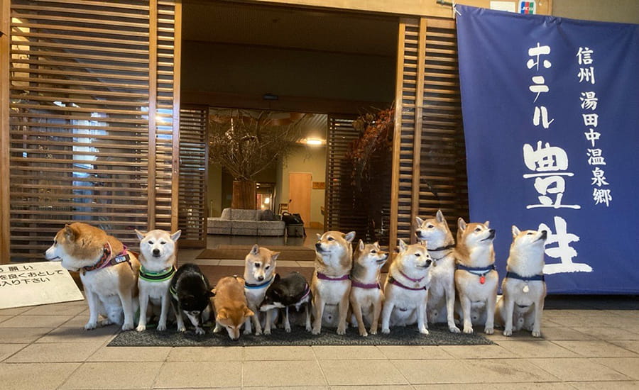 ペットWELCOMEの宿